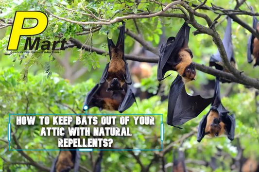 how to repel bats from your attic