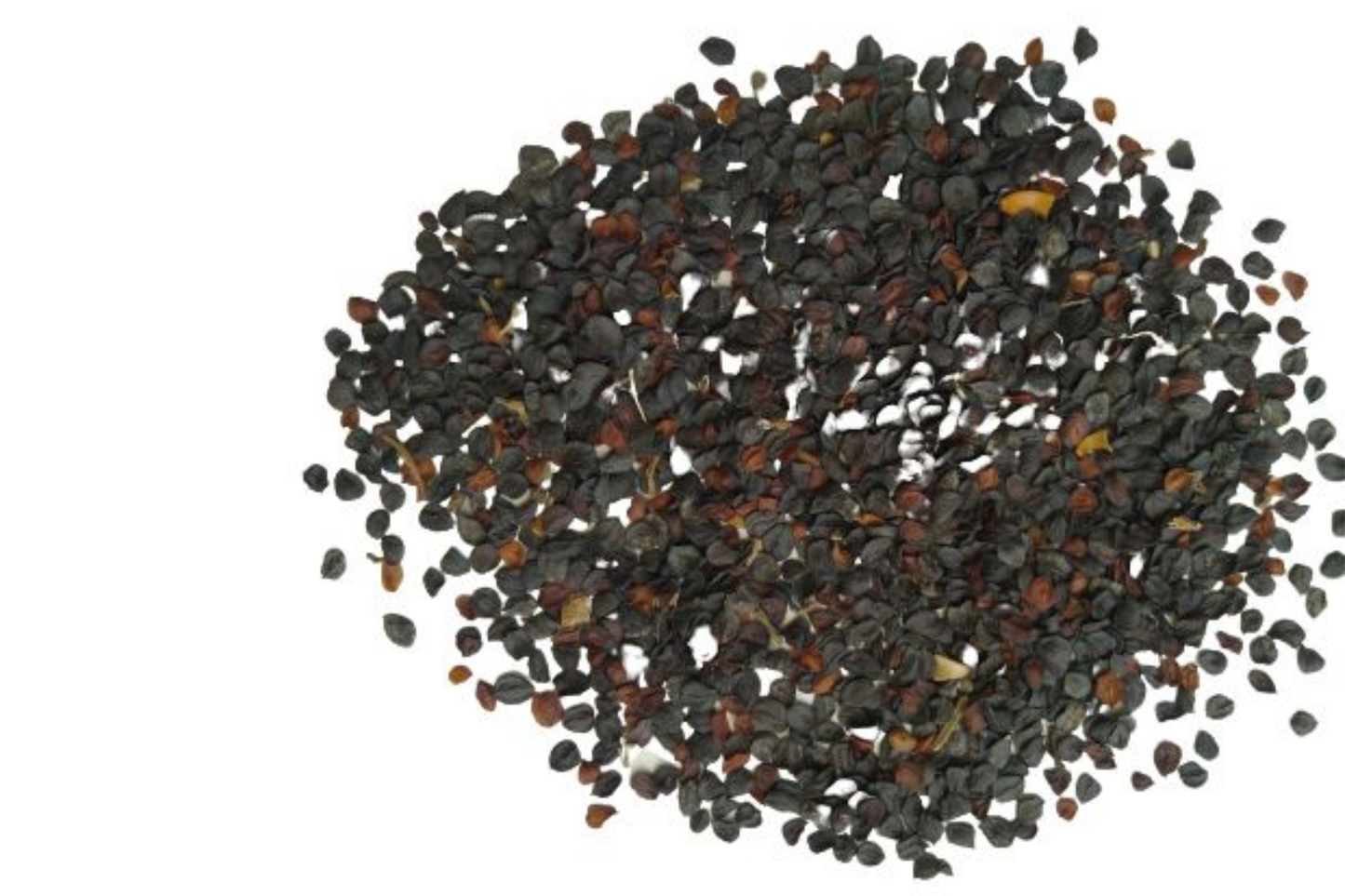 Dianthus Seeds, Sweet William 175mg, Mixed Colors, Home Garden Flowers, G112