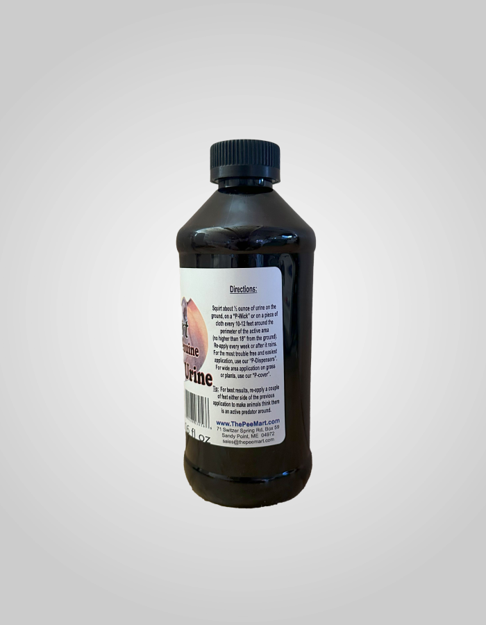 Mt Lion 3 pack - 16oz Trigger Spray-- Save$$$