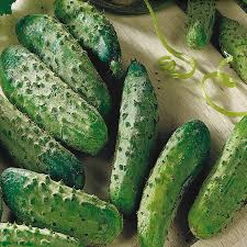 Cucumber National Pickling Seeds – 1g for Planting, Heirloom Variety, High Yield, Crisp & Tender, Disease Resistant, Garden Container