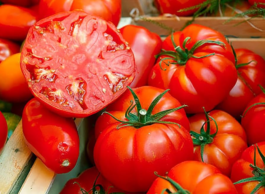 Tomato Beefsteak Seeds – 300mg for Planting, Heirloom Variety, Large & Juicy, High Yield, Great for Slicing Sandwiches, Garden Containers