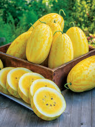 Gold In Gold Hybrid Watermelon Seeds - 50+ Seeds - Sweet Yellow Flesh - USA Grown - - High Yield Fruit Garden