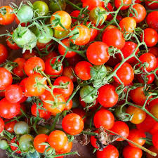 Matt’s Wild Cherry Tomato Seeds | 25 Seeds | Solanum Lycopersicum | Heirloom, Sweet Flavor, Prolific, Easy to Grow