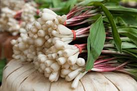 Ramps Wild Leeks (Allium tricoccum) - 3 Organically Grown Bare Root Bulbs for Planting
