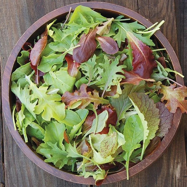 Mesclun Mix Lettuce Seeds - 1000+ Count - Non-GMO Heirloom - Ideal for 2025 Planting - USA Grown