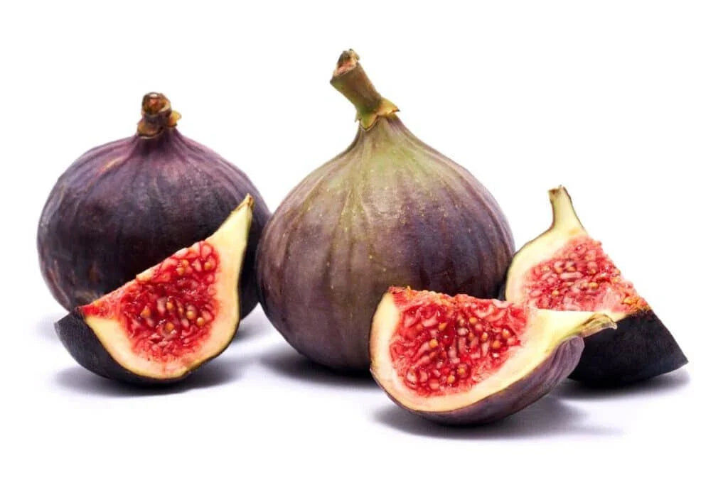 Texas Blue Giant Fig Seeds - 100+ Count - Ficus carica - Ideal for Garden Planting - USA Grown - Free Shipping