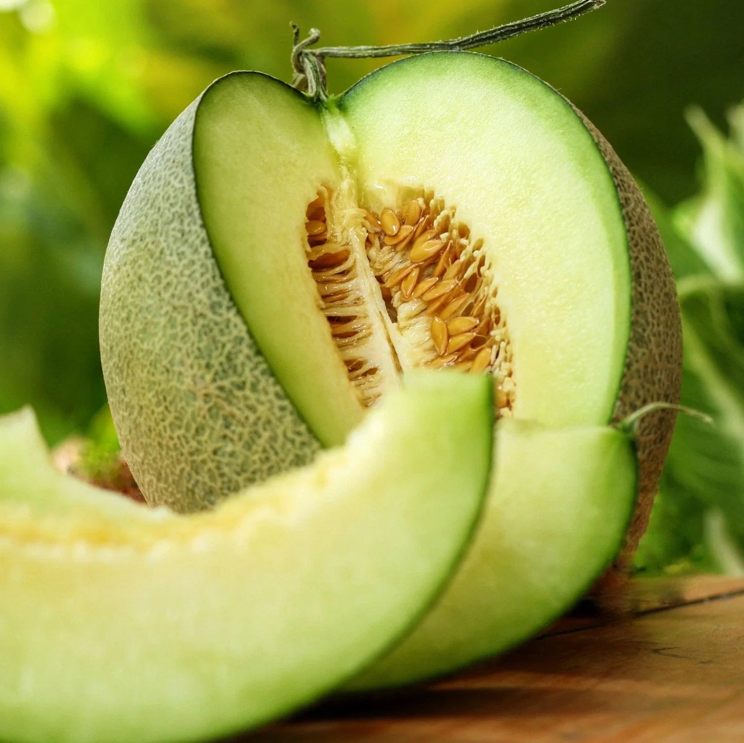Rocky Ford Green Cantaloupe Seeds - 50+ Count - Heirloom Variety - Cucumis melo Seeds for 2025 Planting