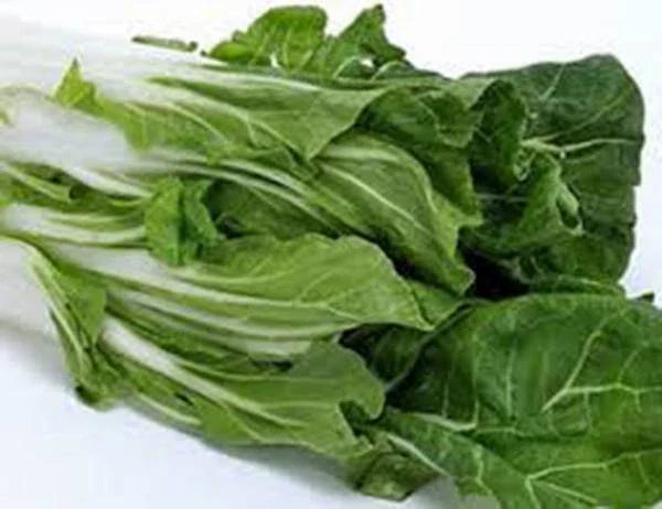 Swiss Chard Seeds, Heirloom Large White Ribbed, 100 Non-GMO Seeds, Beta vulgaris subsp. cicla