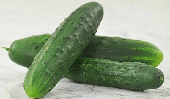 Cucumber Seeds - Marketmore 76 Variety - Fresh Heirloom Seeds - Cucumis sativus
