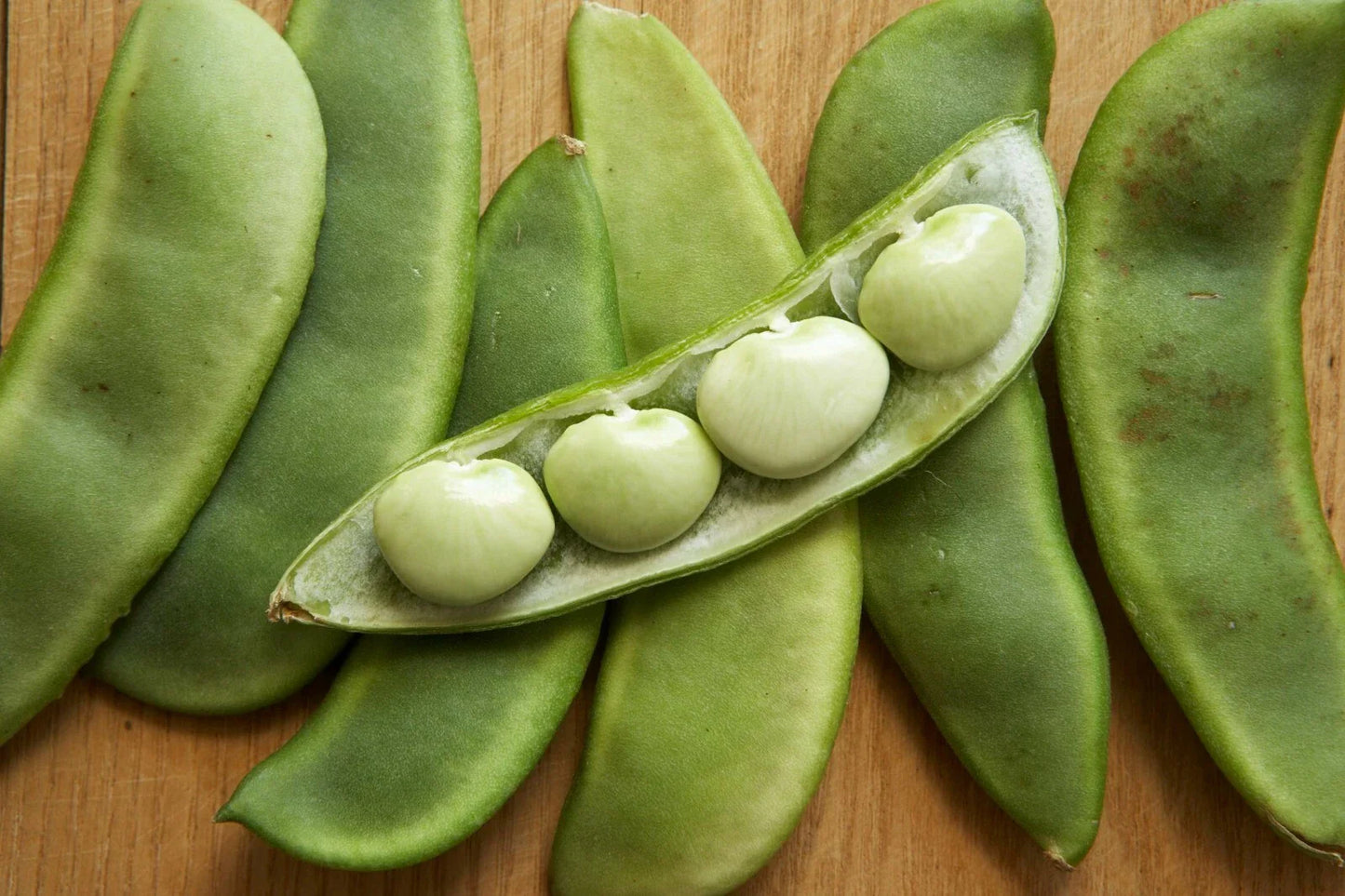 Lima Bean Seeds - Fordhook 242 Variety - Fresh & Organic - Phaseolus lunatus - Free Shipping