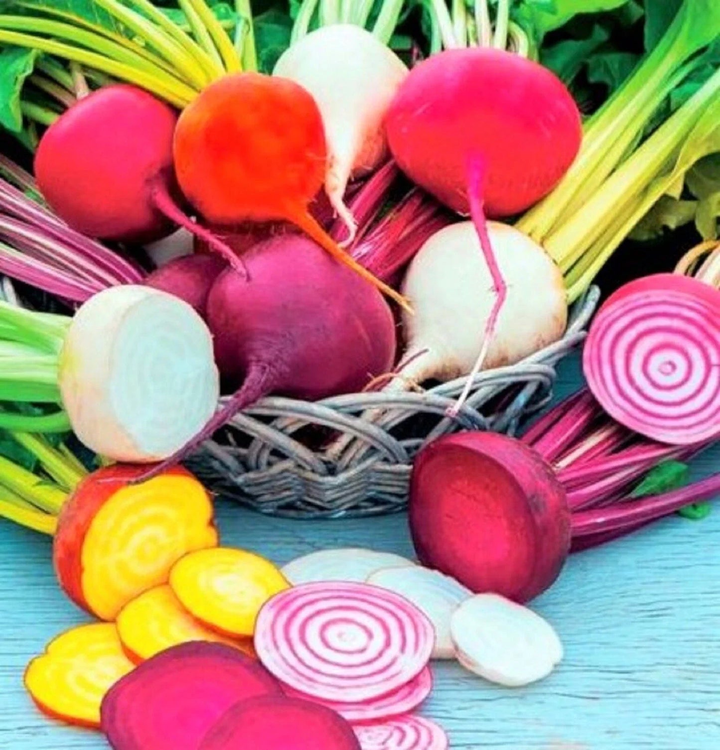 Rainbow Blend Beet Seeds - Non-GMO, 100+ Seeds, Assorted Colors - Beta vulgaris