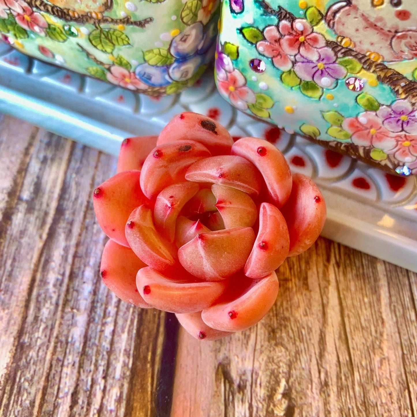 Pink Champagne Succulent – Rare Live Bare Root Plant – Soft Pink Rosette Echeveria – Wedding Favors & Indoor Decorative Succulent