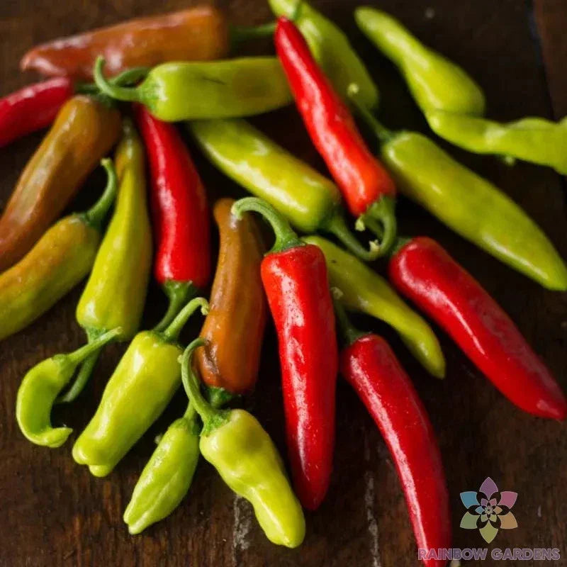 Pepperoncini Italian Sweet Pepper Seeds - 25+ Count - Organic Heirloom - Capsicum annuum - USA
