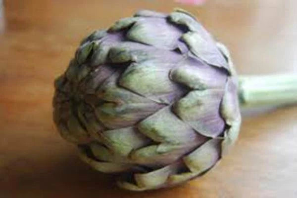 Artichoke Seeds, 20+ Heirloom Green Globe, Healthy Tasty Veggie, Cynara scolymus