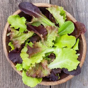 Gourmet Mix Lettuce Seeds - 1000+ Count - Heirloom Varieties for 2025 Planting - Ideal for USA Gardens