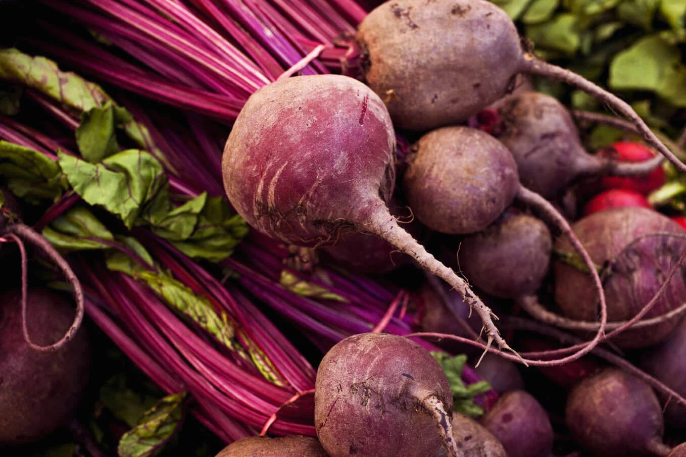 Detroit Dark Red Beet Seeds, Heirloom NON-GMO, Detroit Globe Variety, Garden Vegetable Seeds
