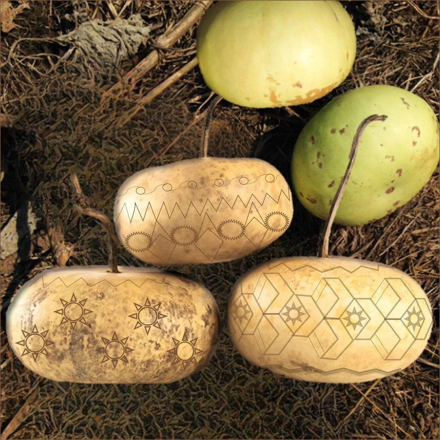 Corsican Gourd Seeds - Hard-Shelled Ornamental Gourds - Perfect for 2025 Planting - Cucurbita pepo