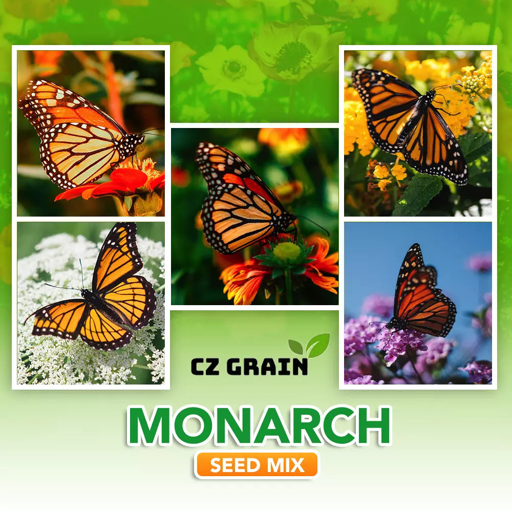 Monarch Butterfly Garden Seed Kit - Butterfly-Friendly Flowers - Asclepias spp. - Attracts Monarchs to Your Garden