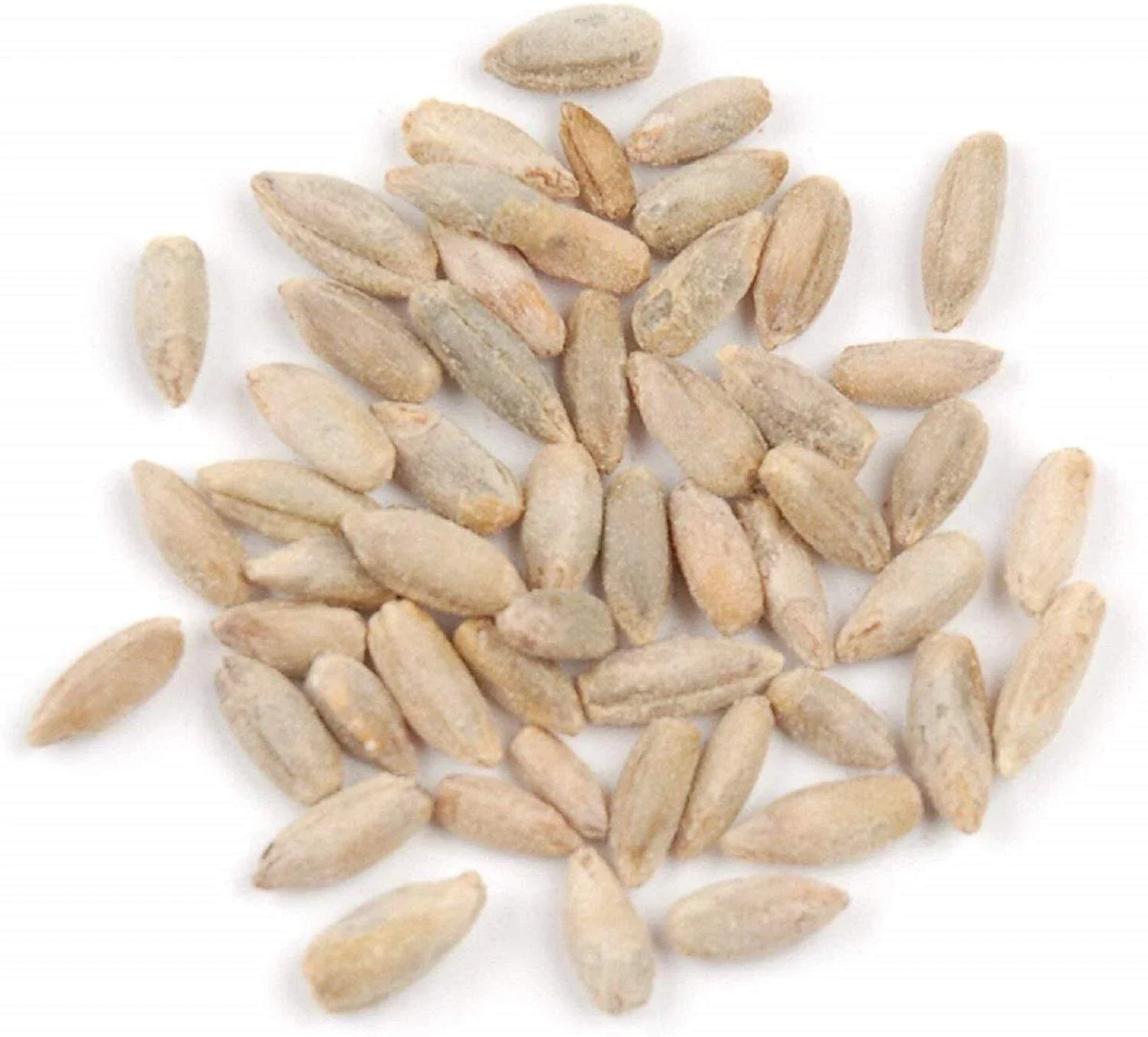 Rye Berries 2 Pounds High Fiber Iron Nutrient-Rich Whole Grain Secale cereale