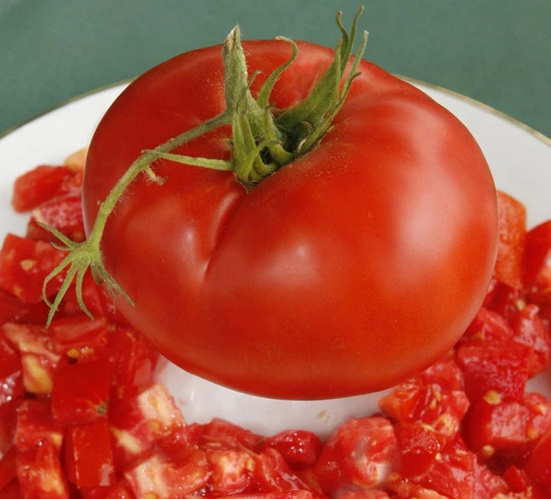 Giant Slicer Tomato Seeds - Delicious Variety, Bulk 50 Count Packet, Meaty (Solanum lycopersicum)