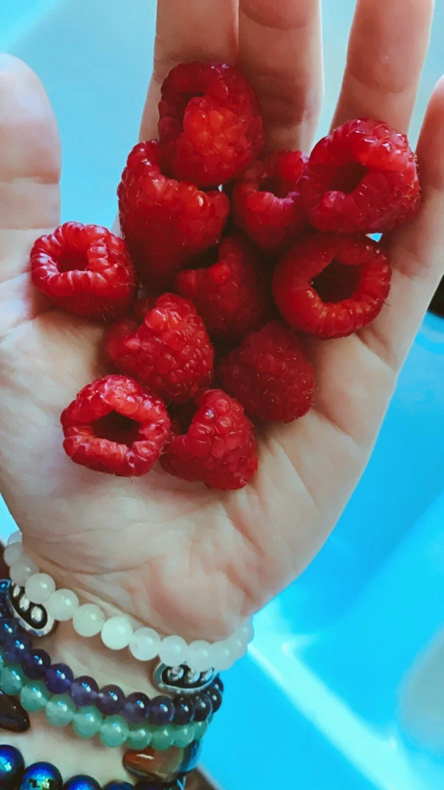 Red Raspberry Seeds - 50 Pack - Edible Berry Garden Vine - Rubus idaeus - Homegrown USA Medicinal Fruit