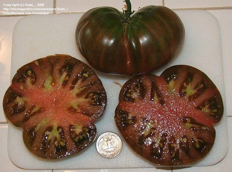 Black From Tula Tomato Seeds - 30+ Heirloom, Non-GMO, Rare Variety - Perfect for Home Gardening, Organic Growing