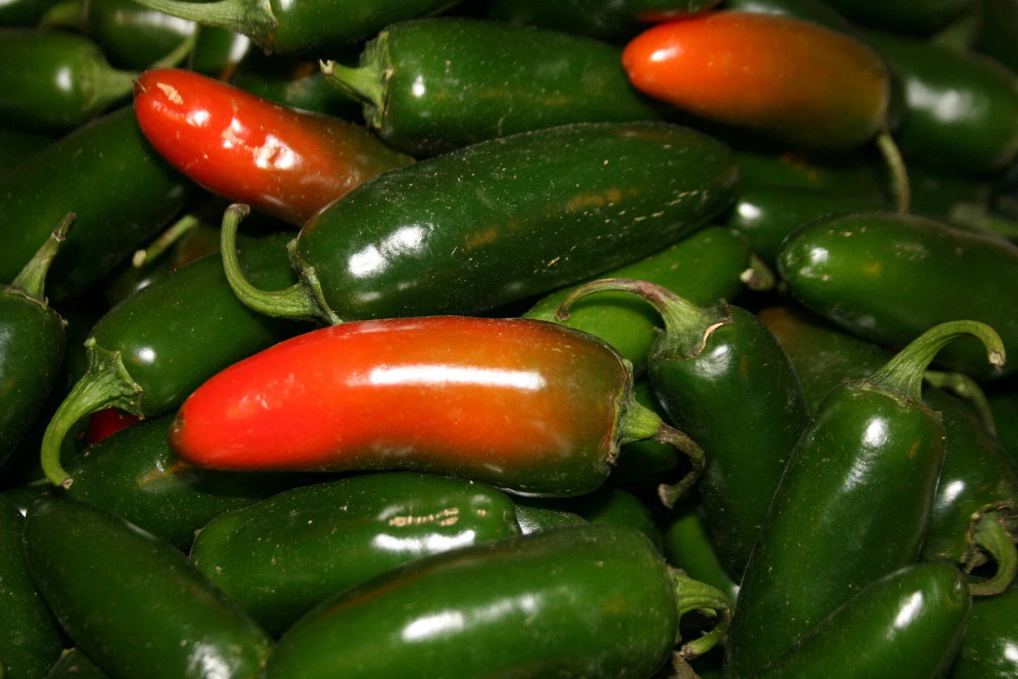Hot Pepper Seeds - Early Jalapeno - 100 Seeds - Capsicum annuum