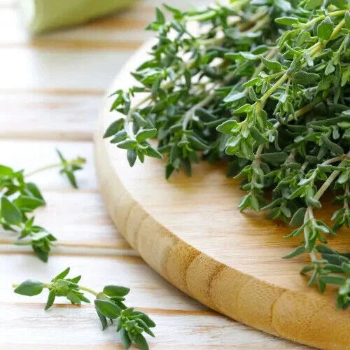 Thyme Seeds | Heirloom Non-GMO Herb Seeds | Culinary Variety | Thymus vulgaris | Seed Store 1160