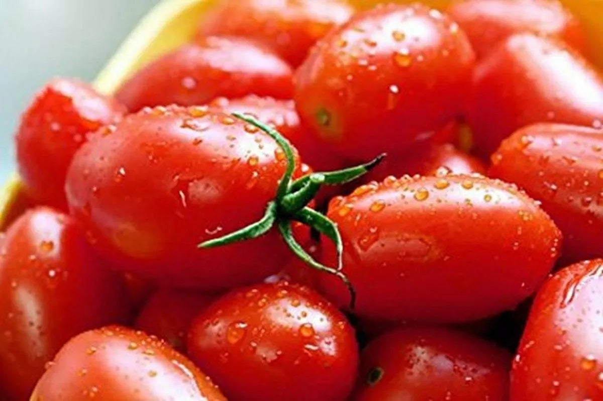 Crovarese Italian Grape Tomato Seeds 50 Ct Heirloom Vegetable Seeds, Solanum lycopersicum, USA, Free Shipping
