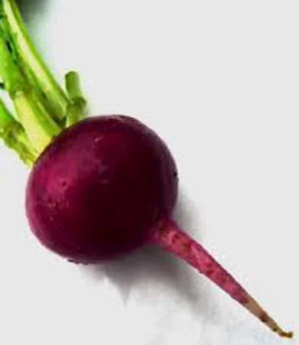 Early Wonder Beet Seeds, Heirloom Non-GMO, 50+ Seeds, Great Tasting Beets, Beta vulgaris