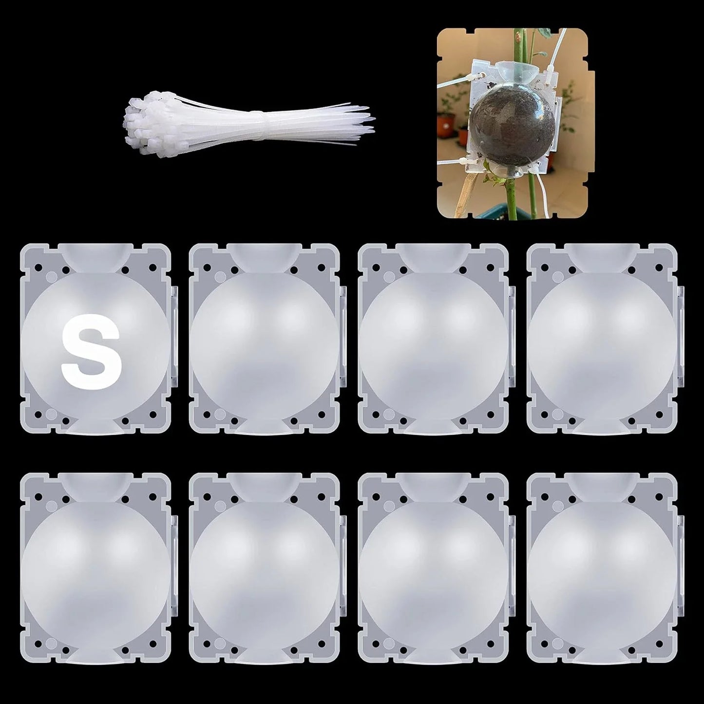 Air Layering Pods - 8 Pcs Small Transparent Plant Rooting Propagation Balls for Healthy Growth