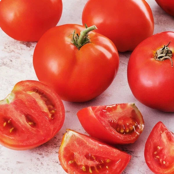 Creole Tomato Seeds | Heirloom Non-GMO | Organic Gardening | Lycopersicon esculentum