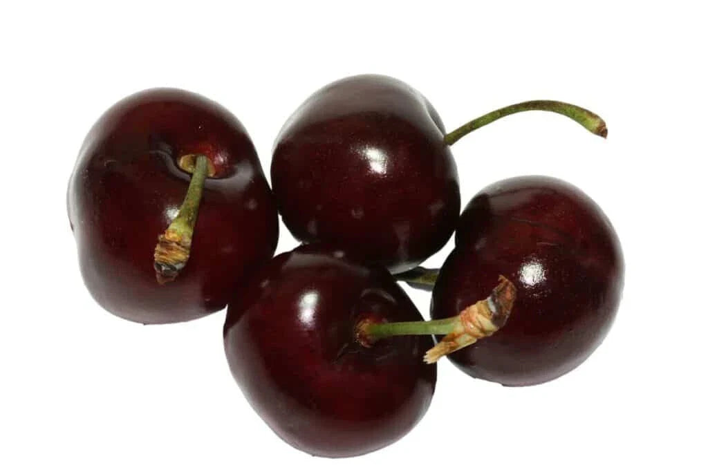 Bada Bing Cherry Seeds - 10+ Count for Garden Planting - Prunus avium - USA Grown, Fast Shipping