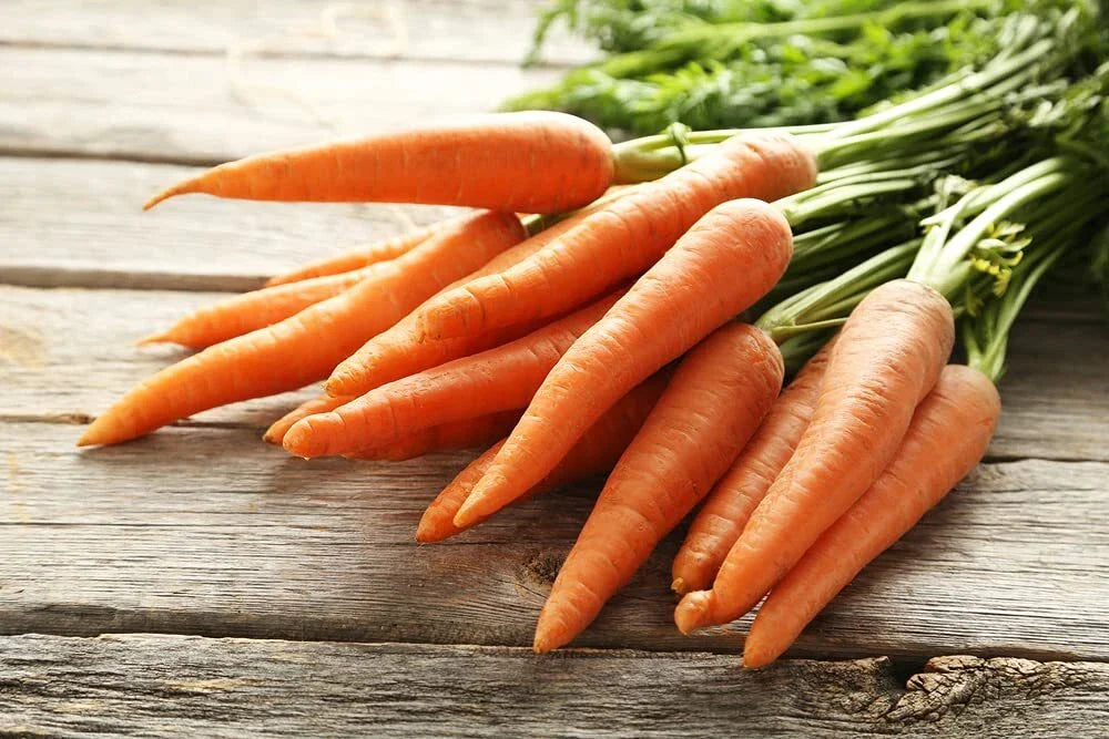 Scarlet Nantes Carrot Seeds | 100+ Seeds | Heirloom Variety for Planting | Daucus carota