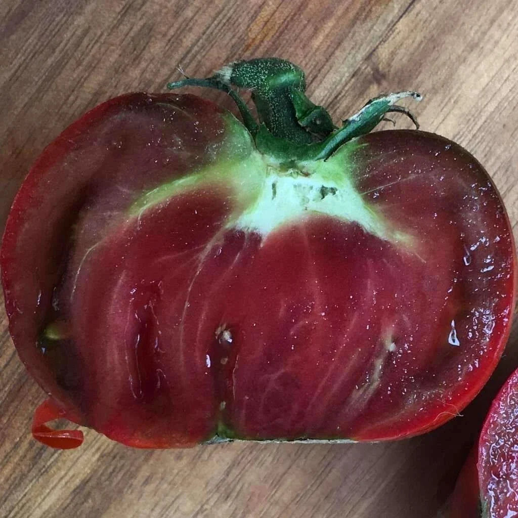 Paul Robinson Tomato Seeds - Organic Heirloom - NON-GMO - Rare Variety - 10+ Seeds