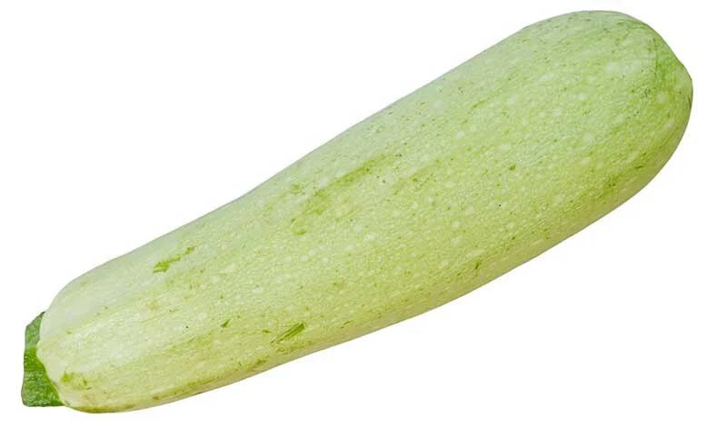Lebanese Squash Seeds - 25+ Pack for Garden Planting - Cucurbita pepo - Non-GMO, USA Grown