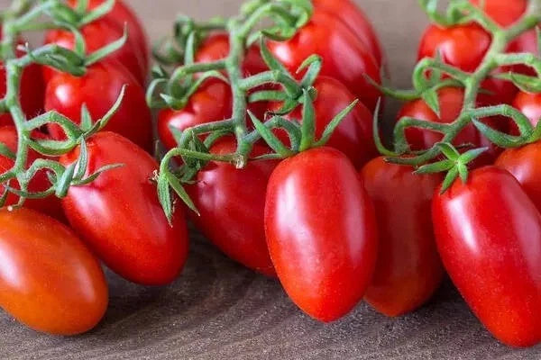 Roma Tomato Seeds - 120+ Heirloom Organic Non-GMO - Fresh Garden Seeds - Lycopersicon esculentum