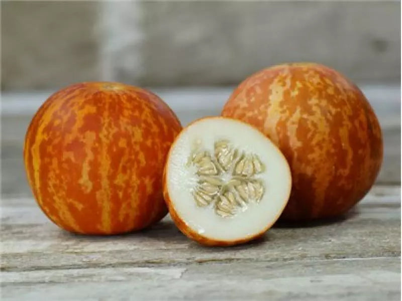 Tigger Melon Seeds - Organic Non-GMO, Beautiful Aromatic Variety - Cucumis melo