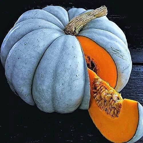 Exotic Blue Pumpkin Seeds Packet | 10 Seeds | Blue Jarrahdale Variety | Cucurbita maxima