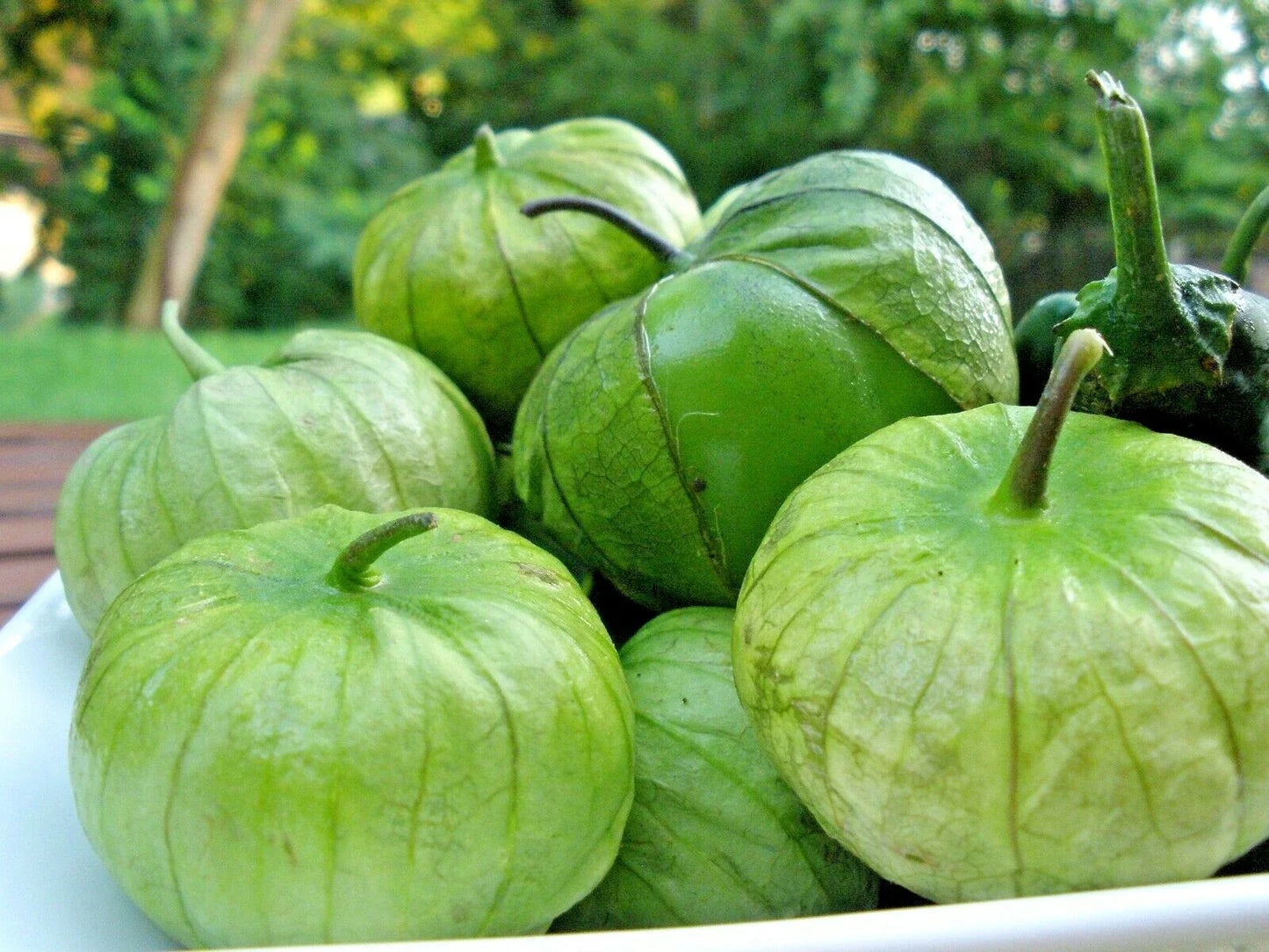 Tomatillo Seeds - 100+ Organic Gigante Variety - Easy Grow Summer Vegetable for Container Gardening