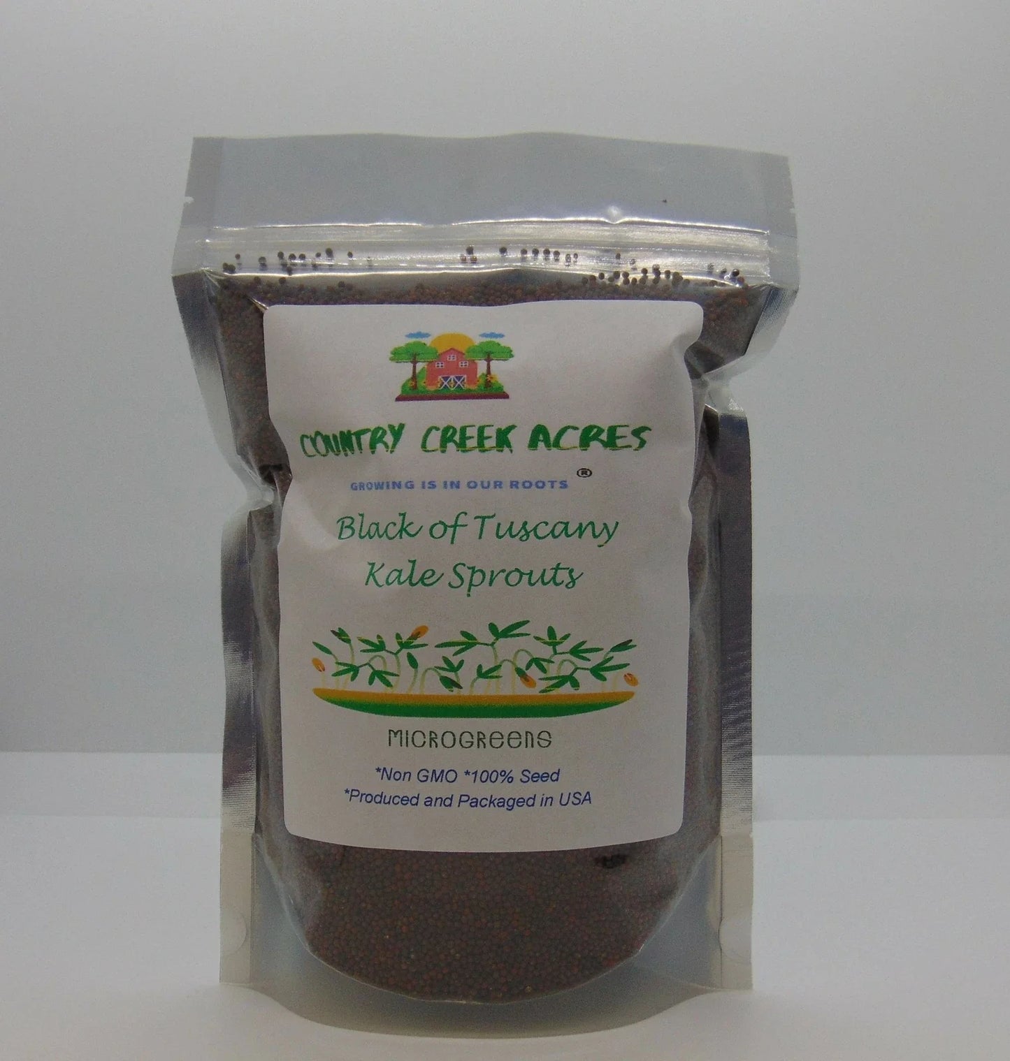 Black of Tuscany Kale Seeds - Heirloom Variety - Brassica oleracea 'Nero di Toscana'