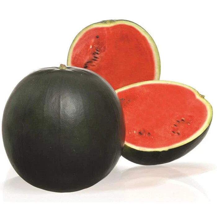 Sweetie Pie Watermelon Seeds - Fresh Heirloom Seeds for Home Gardening - Citrullus lanatus