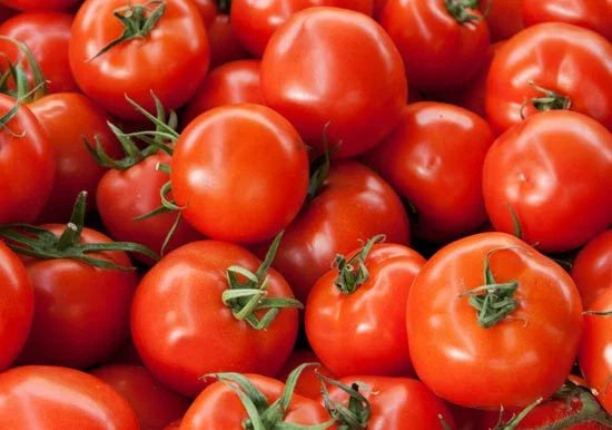 Early Girl Hybrid Tomato Seeds - Bush Type - 15 Seeds - Solanum lycopersicum