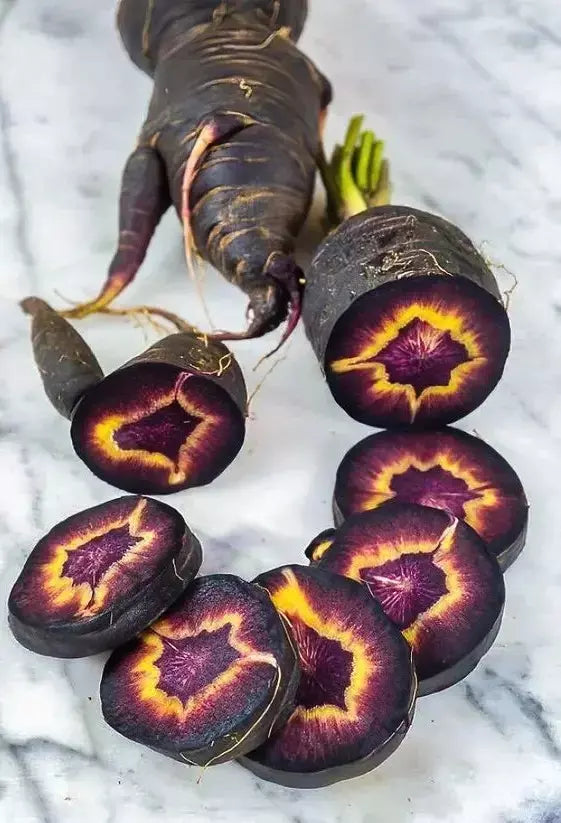 Black Nebula Carrot Seeds - 200+ Heirloom Organic NON GMO - Rare Vegetable Seeds - Daucus carota