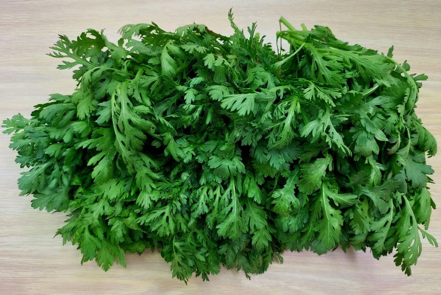 Shungiku Seeds 100g Asian Greens Choy Suy-Tongho Edible Chrysanthemum (Glebionis coronaria)