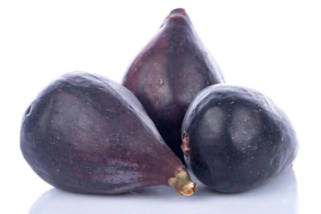 LSU Gold Fig Seeds - 100+ Premium Seeds for Garden Planting - Ficus carica - USA Grown