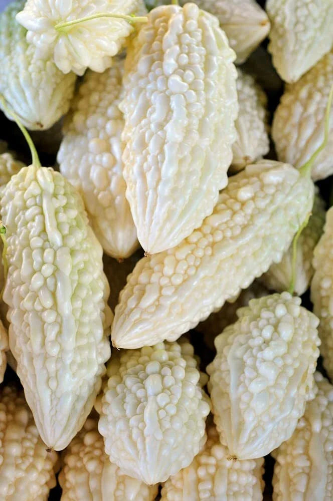 Exotic Bitter Gourd Seeds - 10 Pack - White Variety - Momordica charantia for Planting Bitter Melon