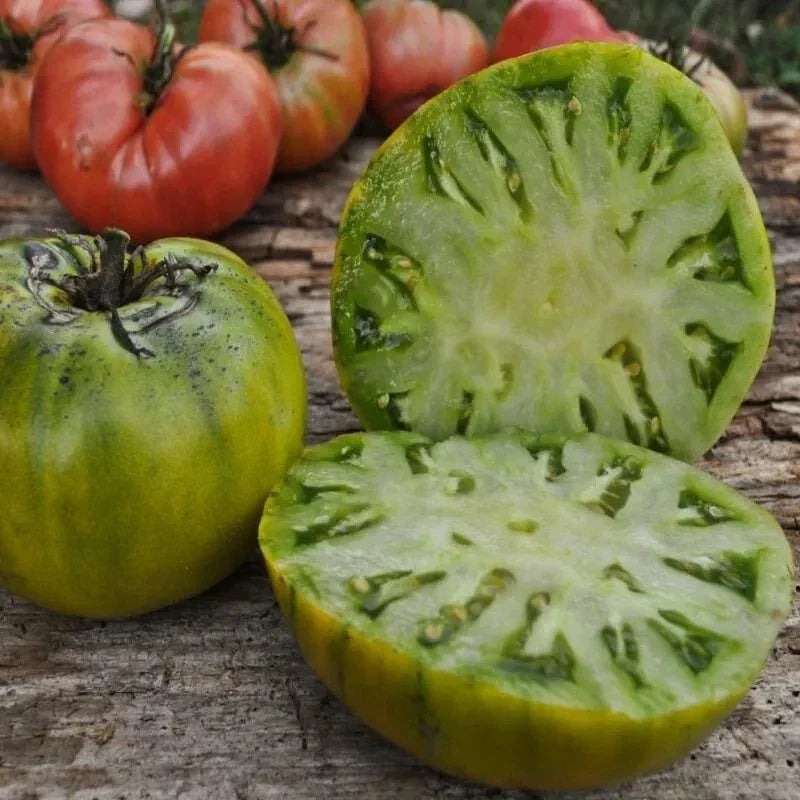Cherokee Green Tomato Seeds - 30+ Heirloom Organic NON-GMO - Rare Varieties - Solanum lycopersicum