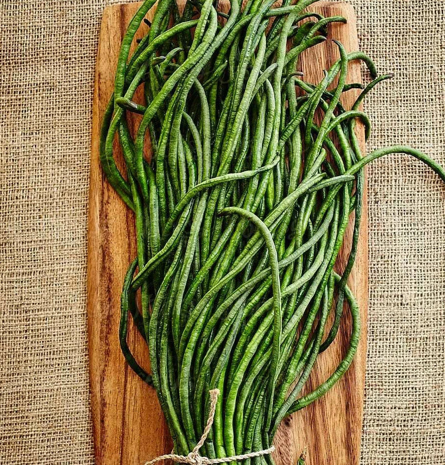 30 Yard Long Bean Seeds - Yu Long Variety, Chinese Green Beans, Asian Snake Pods - 2025 Seed Pack