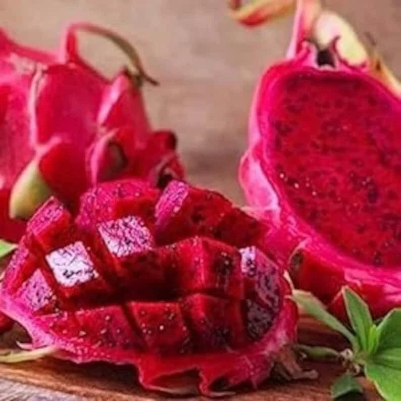 Red Dragon Fruit Seeds - 50 Pack, Hylocereus undatus, USA Grown, Free Shipping